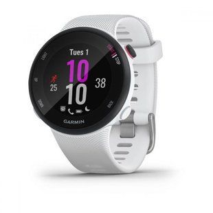 Смарт-годинник Garmin Forerunner 45 Small Black/White 010-02156-10 010-02156-10 фото
