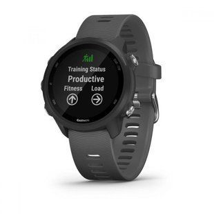 Смарт-годинник Garmin FORERUNNER 245 Slate 010-02120-10 010-02120-10 фото